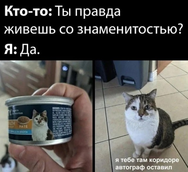 Картинки для деградации 221 (разной степени свежести)