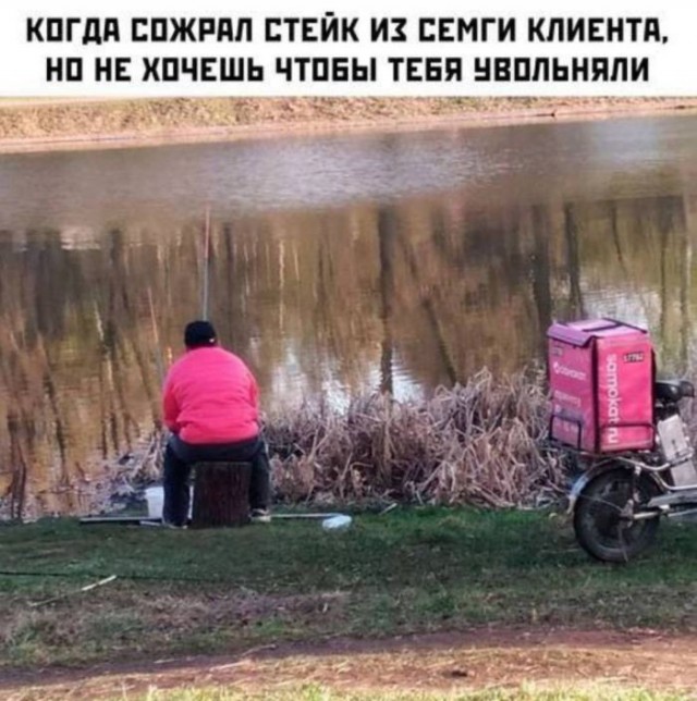 Веселые картинки в пятницу (03.07)