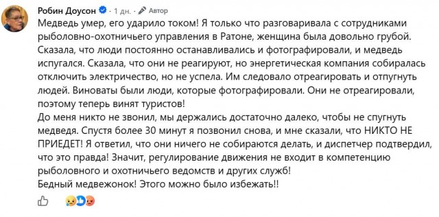 *БАЯН*В штате Нью-Мексико медведь забрался на электрический столб