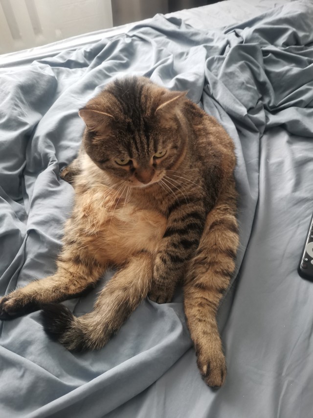 Кузя