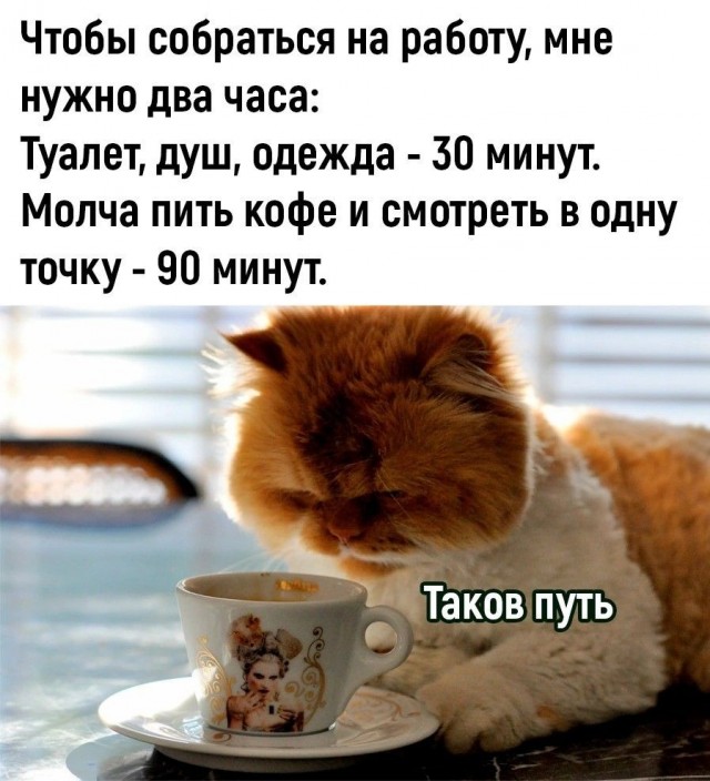 Прикольные и просто красивые картинки 04.09.2026