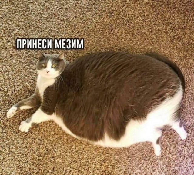 Что-то уже коньяка хочется