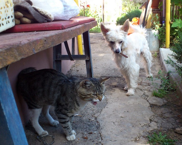 Когда на твоих глазах убивают друга...