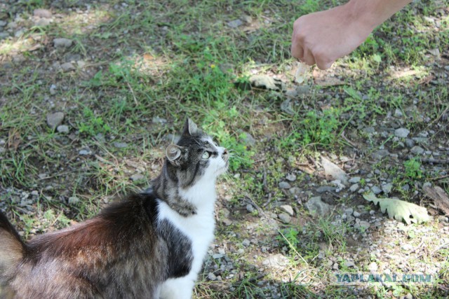 Природа Приморского края