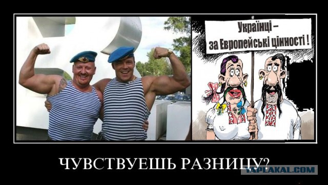 Украинская армия провела масштабные военные учения