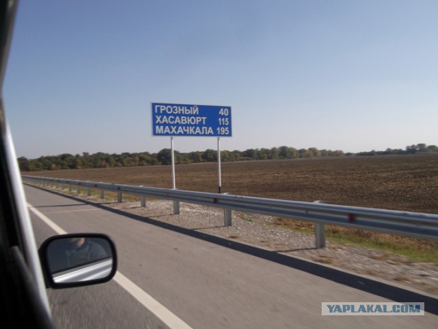 Толерантности пст