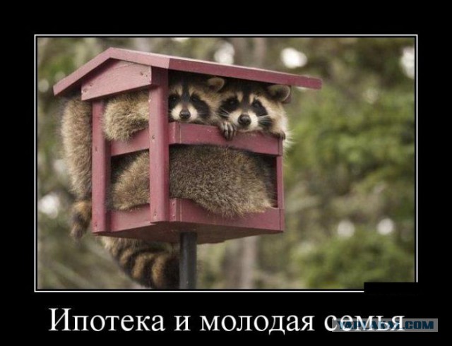 Картинки с просторов на четверг