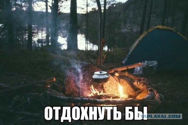 Фотографии из соцсетей.