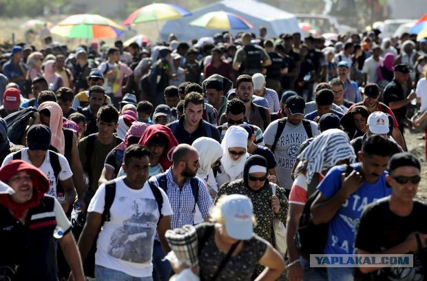 В Германии массовая акция в поддержку мигрантов