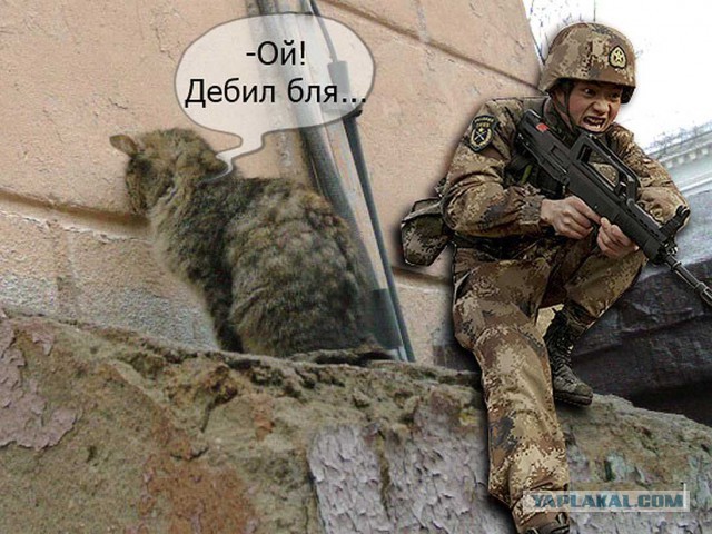 Фотожаба "Огненные Учения" Пожабим?