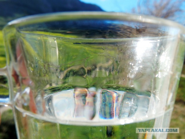 Паста с водкой (опять итальянская вечнозеленая кухня)