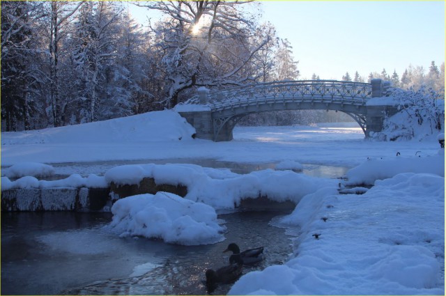 Немного моих фото, авторское