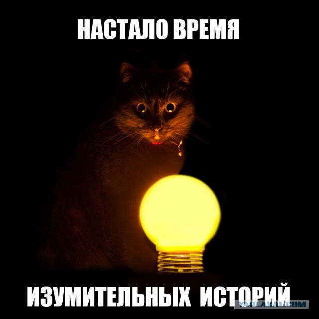Сколько?
