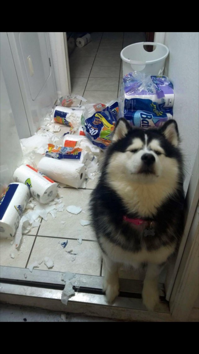 Интересные и веселые картинки