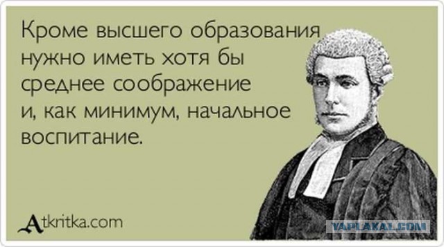 Порция картинок из сети