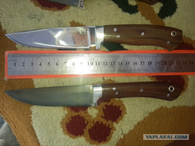 Продам Пчаки