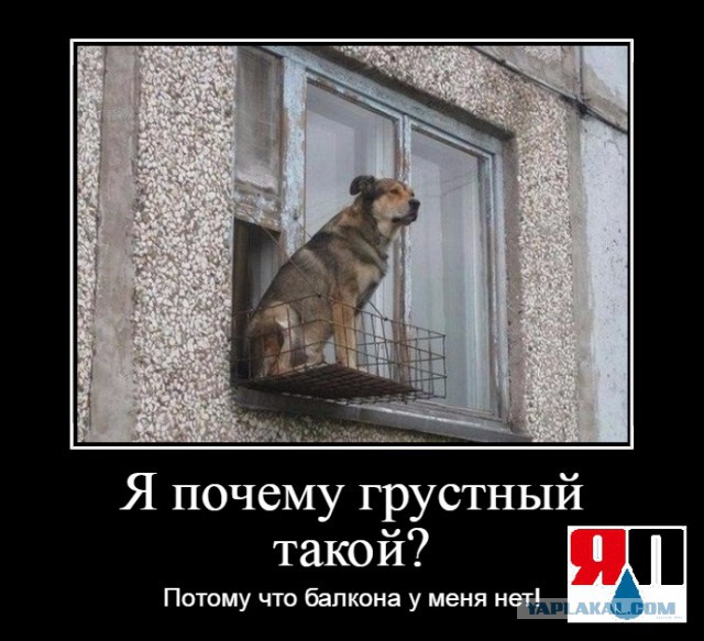 Предлагаем остекление и отделку балконов и лоджий в г. Москве и Московской области