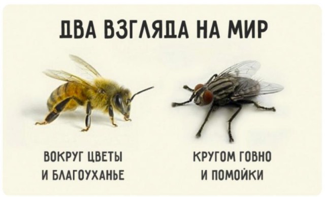 Соловки, которые не показывают