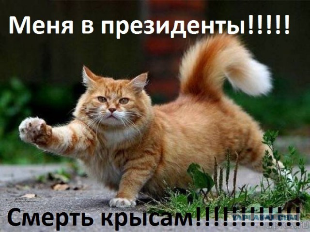 Появится ли кандидат в России до выборов Путина?