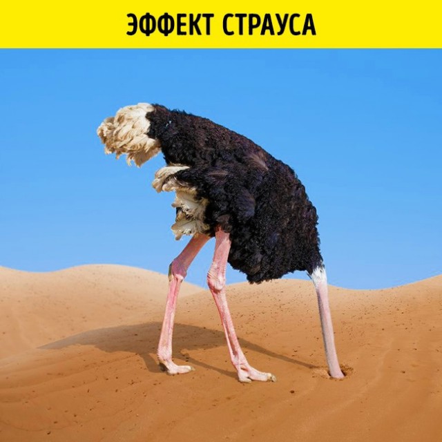10 психологических эффектов, которые управляют нашей жизнью