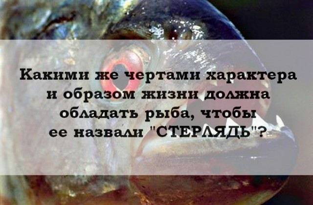 Предновогодняя распродажа