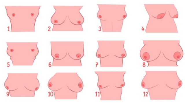 Женский характер в зависимости от формы груди