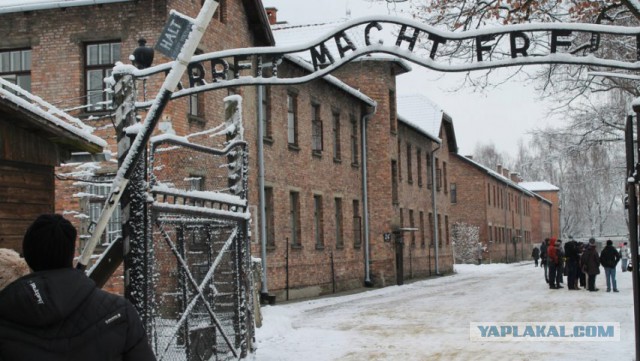 Тушенка 1945 года выпуска ннада?