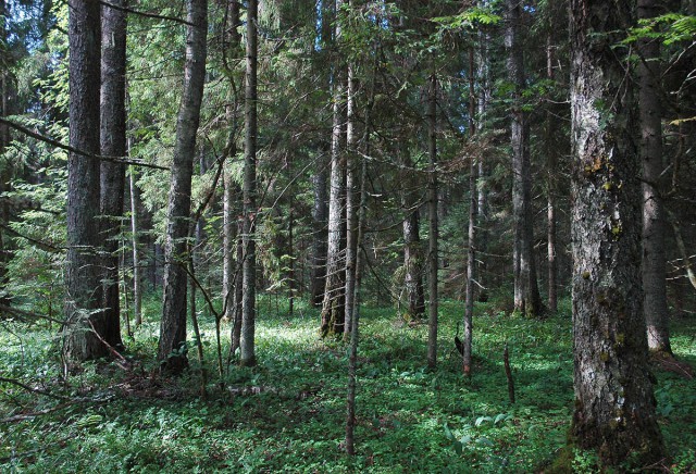Деревенская Америка - 4