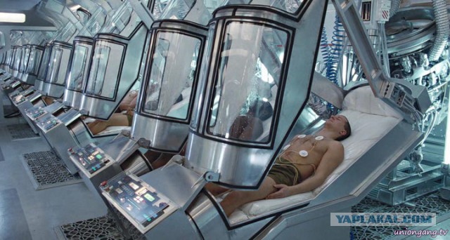 РЖД предложила модернизировать плацкарты вагоны-капсулами и пространствами-трансформерами