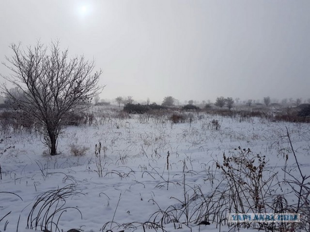 Плов с курицей