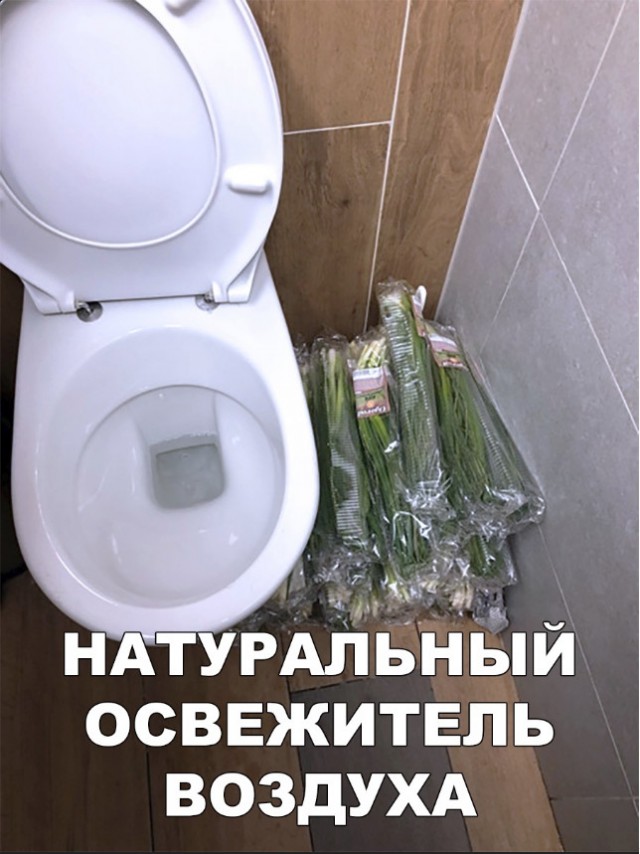 Нестандартный юмор