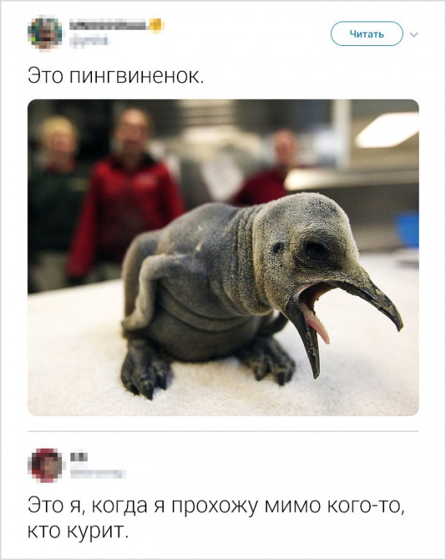 Интернет-комментариев от людей с круглосуточным КВН в голове