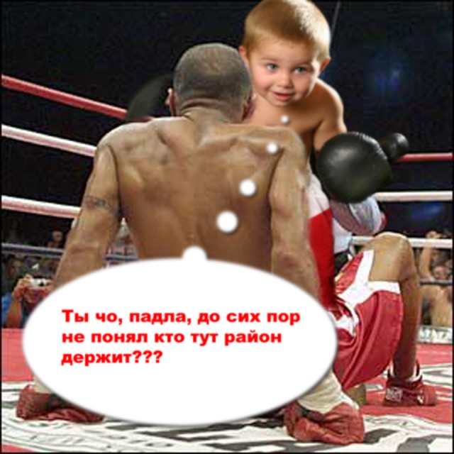 Конкурс фотожабы: Боксёр (есть приз)