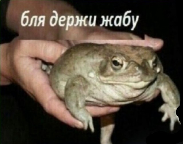 Как выглядит инструктор по йоге