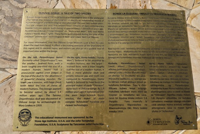 Путешествие в Танзанию во время пандемии — сафари по северным паркам и дайвинг на о. Мафия