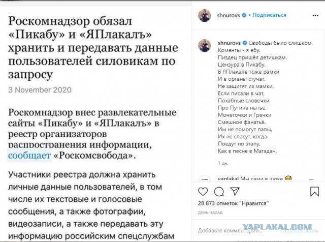 Шнур про Роскомнадзор, ЯП и Пикабу