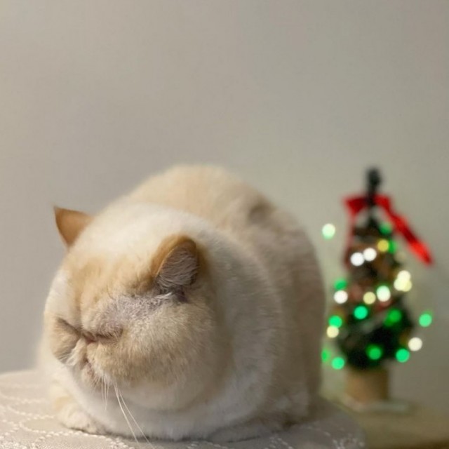 Просто картинки красивые и разные 07.12.20