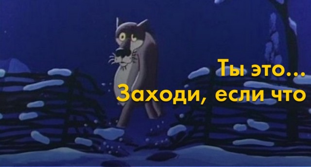 Спасение волка из капкана