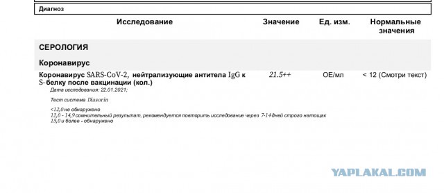 Пандемия. Коронавирус. Россия и мир. Последняя информация. Часть 20