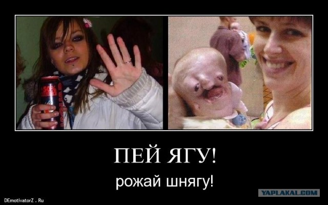Мадагаскарский таракан