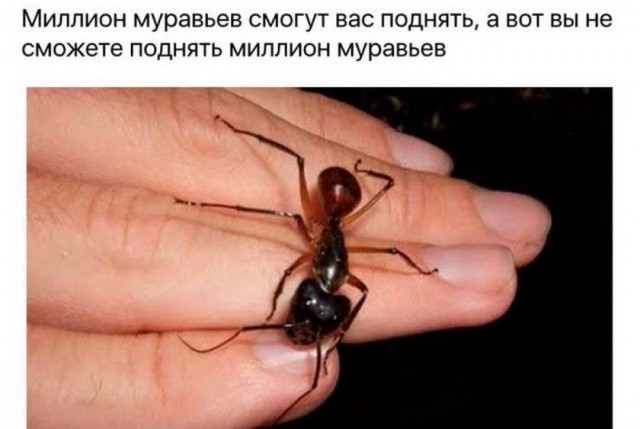 Картинки и мемы для настроения
