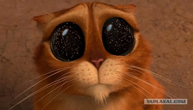 156 секунд халявы