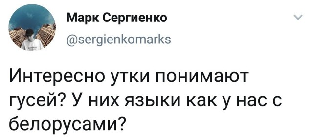 Всякое-разное (картинки) 02.07.2021