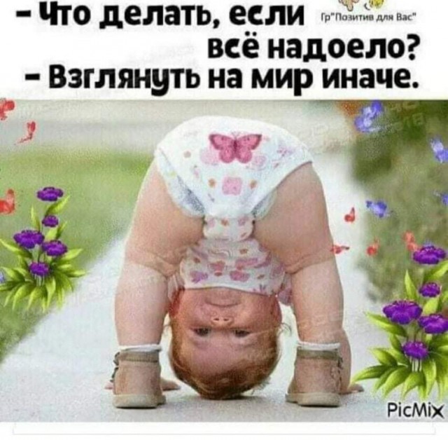 Всяческие картинки 09.07.2021
