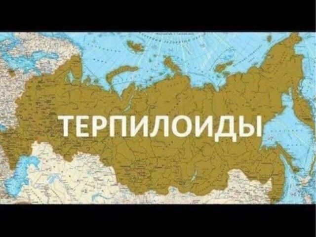 Глава профильного комитета Госдумы Александр Хинштейн предложил «отрепетировать» отключение соцсетей в России