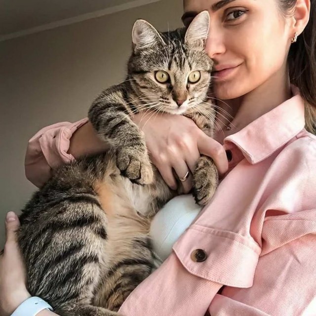 Девушки котовторника