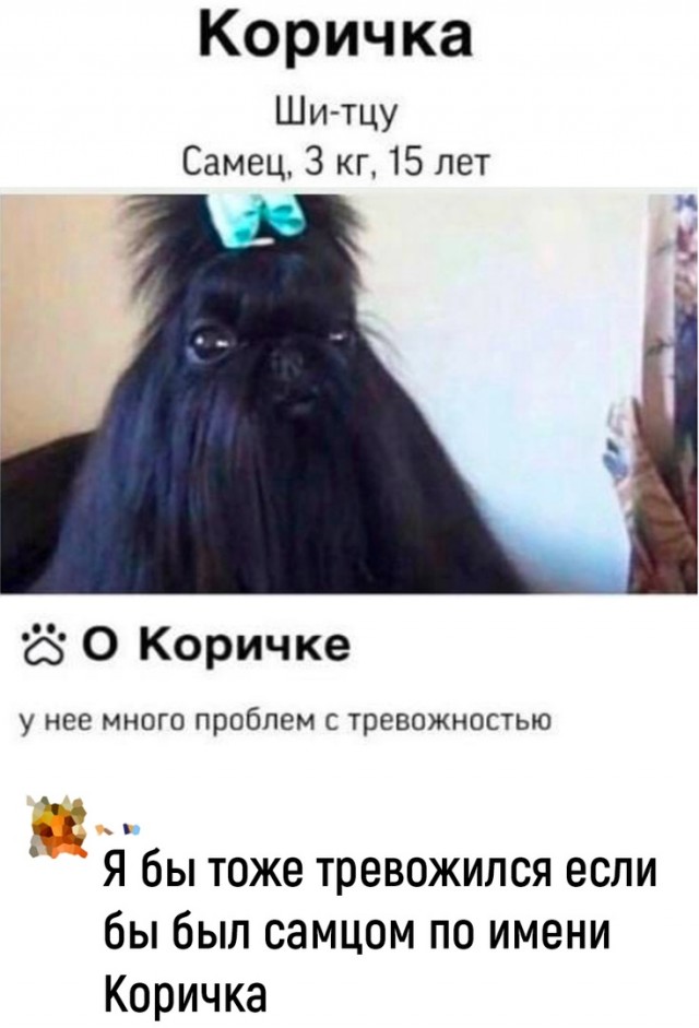 Так себе картинки 19.05.22
