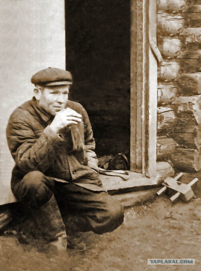 Заброшенная деревня в Ярославской области