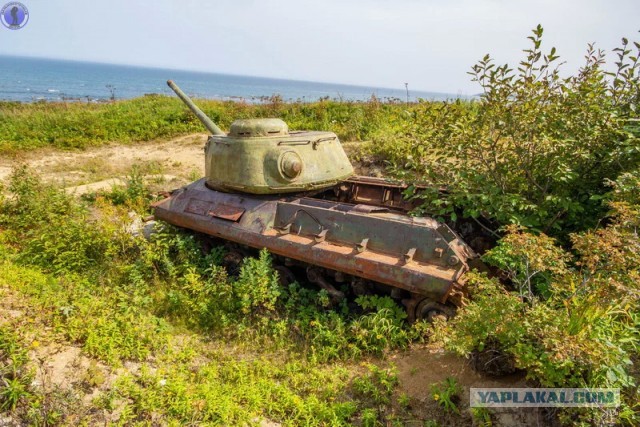 Редчайший танк ИС-2М с ломанным носом: заброшенная на Сахалине рота танковых огневых точек ИС-2 "Стародубское"