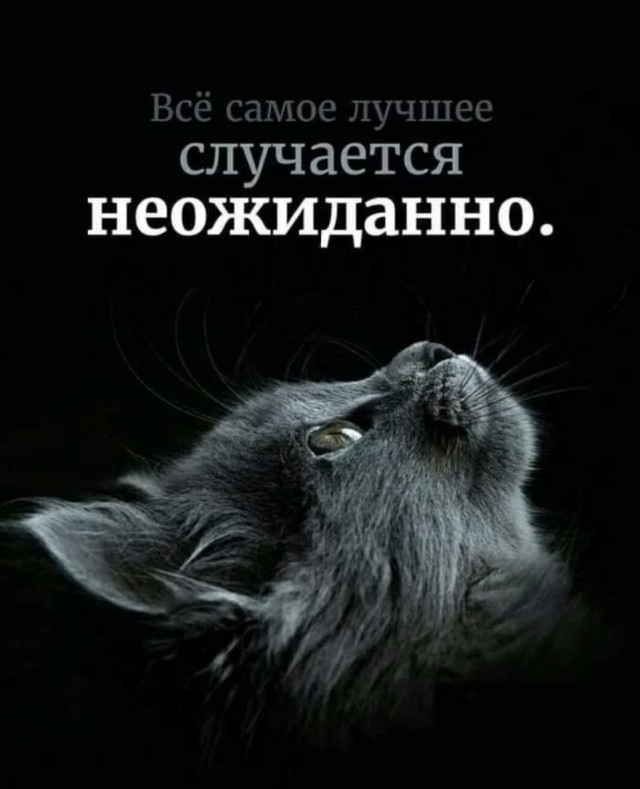 Кто сталкивался с магией в повседневной жизни?